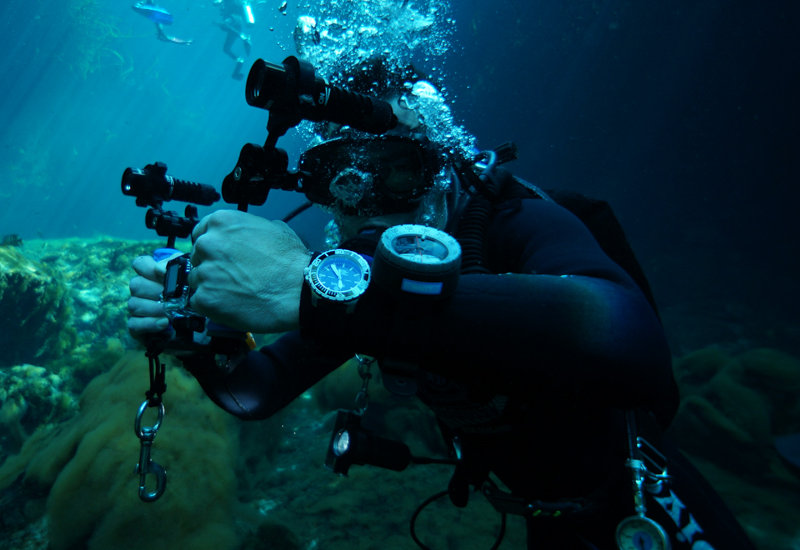 Девушка ныряет в воду. Сара кэмпбелл фридайвинг. Nerd out diving in too deep. Dive too deep. Фридайвинг девушки.