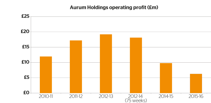 Aurum holdings operating profit
