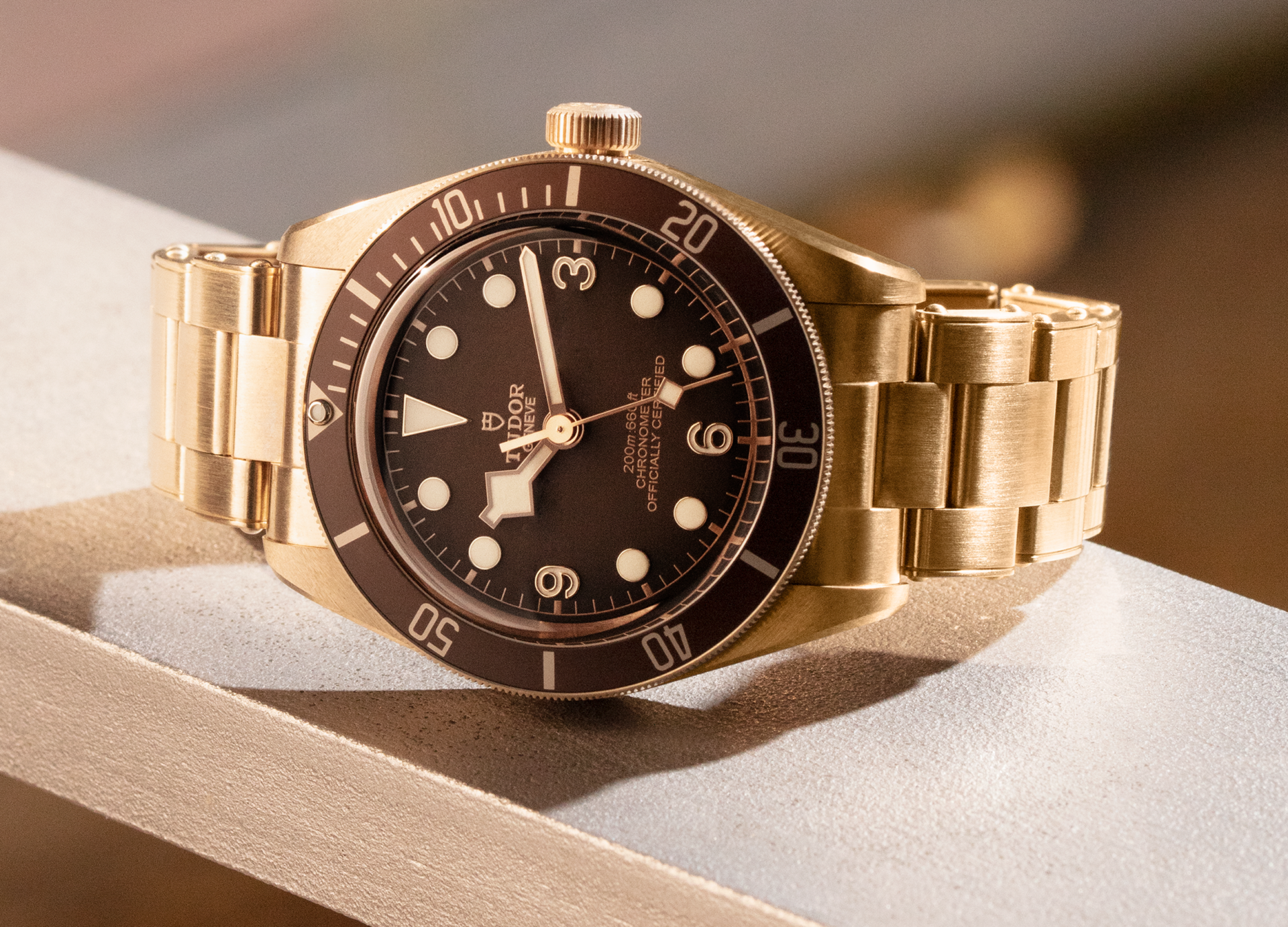 Tudor black bay fifty eight bronze