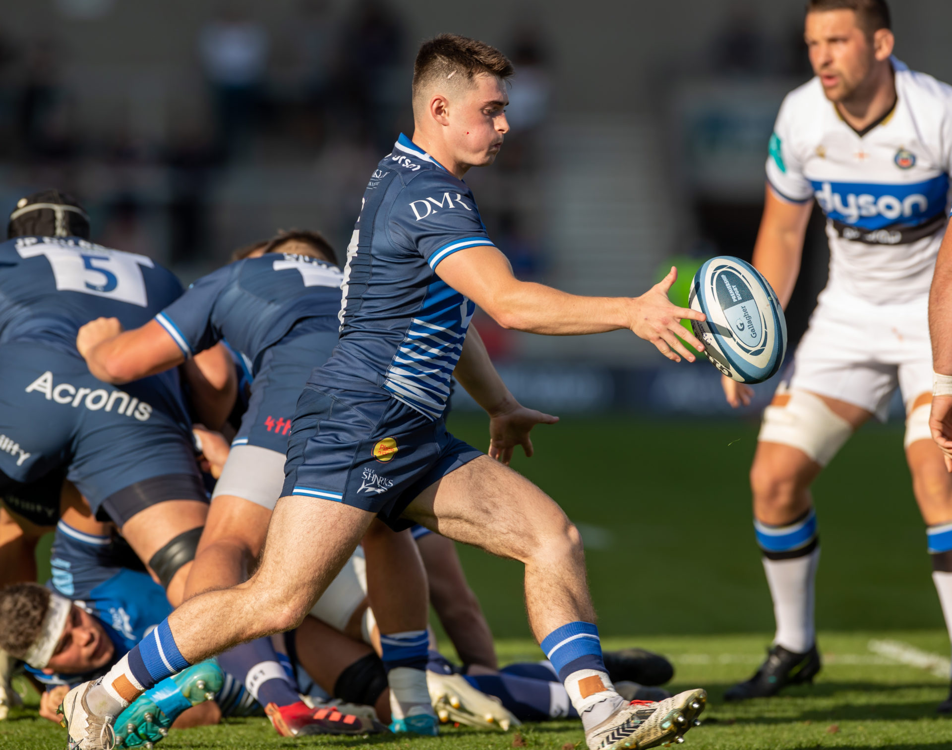 Dmrxsale sharks getty images