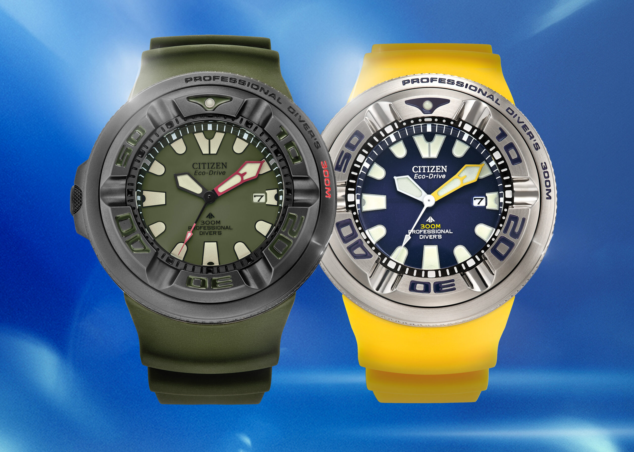 Value Proposition The Citizen Promaster Professional Diver 300M Eco-Zilla