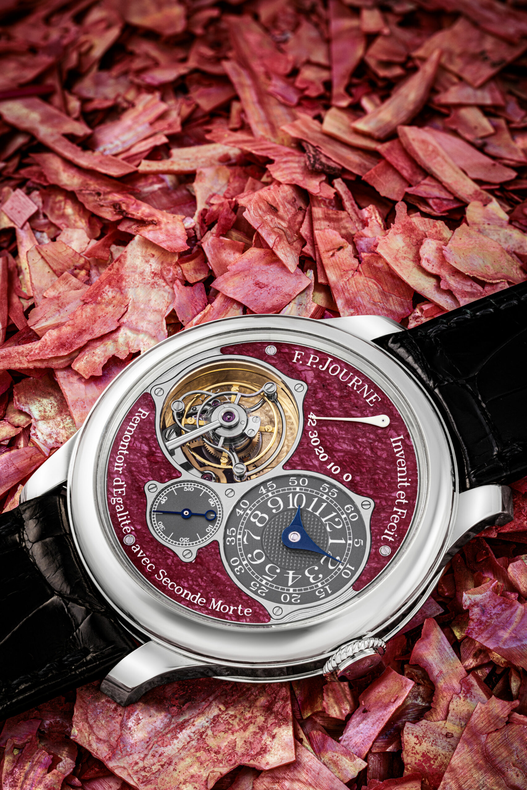 Christie's f. P. Journe platinum tourbillon souverain reference tn scaled