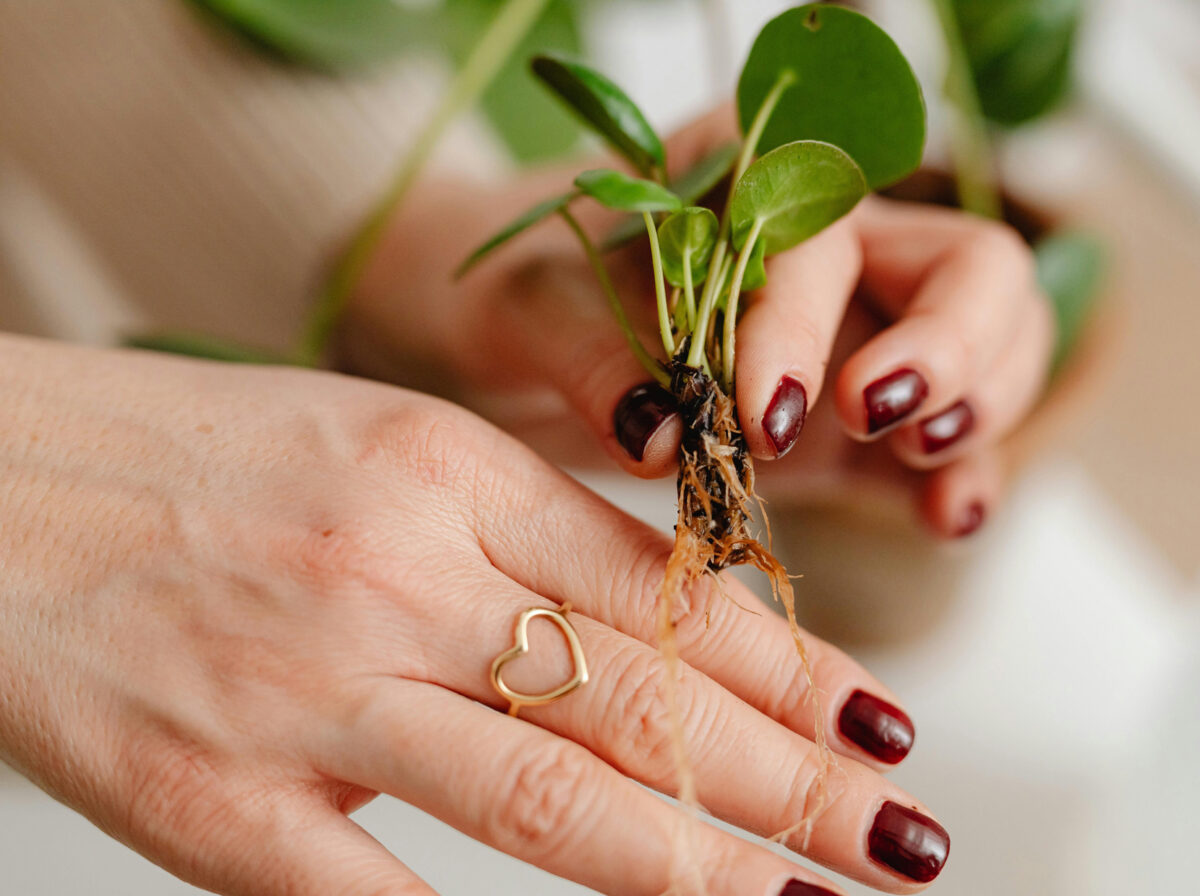 SPECIAL REPORT: The future of jewellery and watches